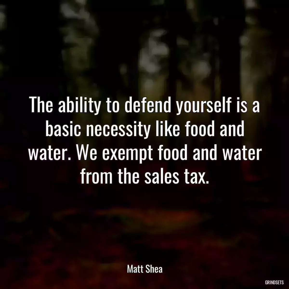 The ability to defend yourself is a basic necessity like food and water. We exempt food and water from the sales tax.