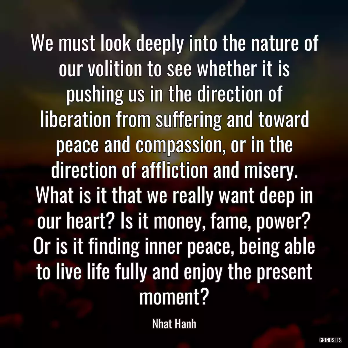 We must look deeply into the nature of our volition to see whether it is pushing us in the direction of liberation from suffering and toward peace and compassion, or in the direction of affliction and misery. What is it that we really want deep in our heart? Is it money, fame, power? Or is it finding inner peace, being able to live life fully and enjoy the present moment?