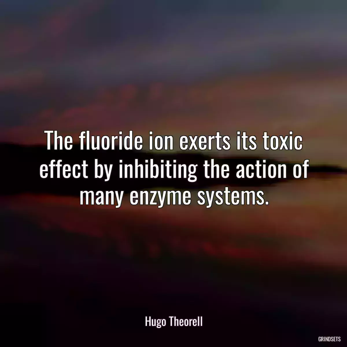 The fluoride ion exerts its toxic effect by inhibiting the action of many enzyme systems.