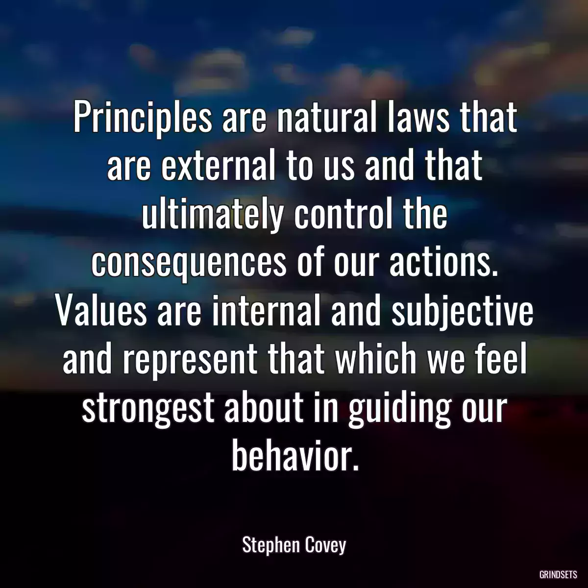 Principles are natural laws that are external to us and that ultimately control the consequences of our actions. Values are internal and subjective and represent that which we feel strongest about in guiding our behavior.