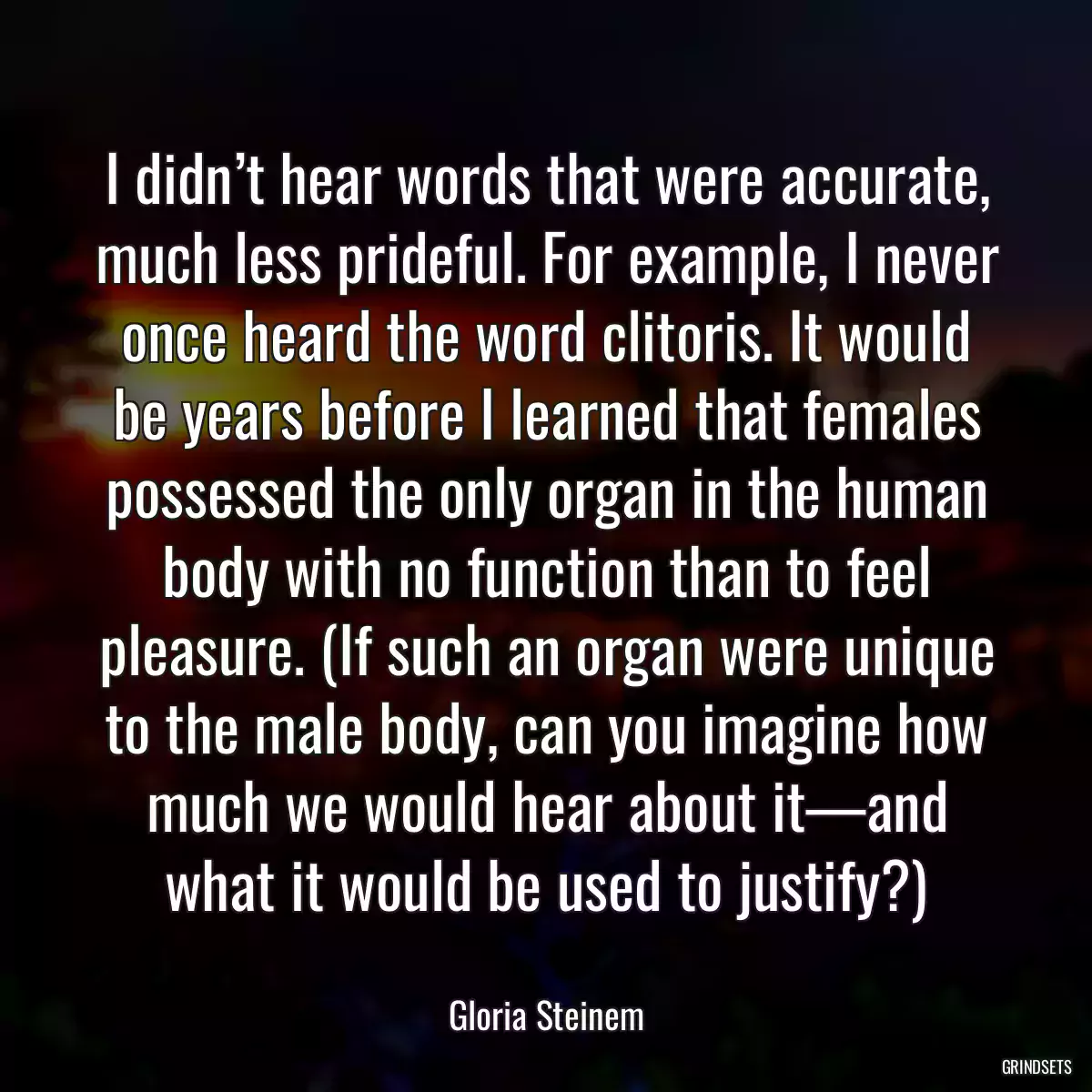 I didn’t hear words that were accurate, much less prideful. For example, I never once heard the word clitoris. It would be years before I learned that females possessed the only organ in the human body with no function than to feel pleasure. (If such an organ were unique to the male body, can you imagine how much we would hear about it—and what it would be used to justify?)