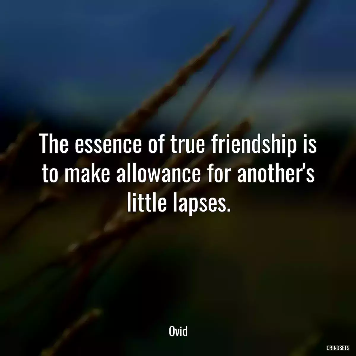 The essence of true friendship is to make allowance for another\'s little lapses.