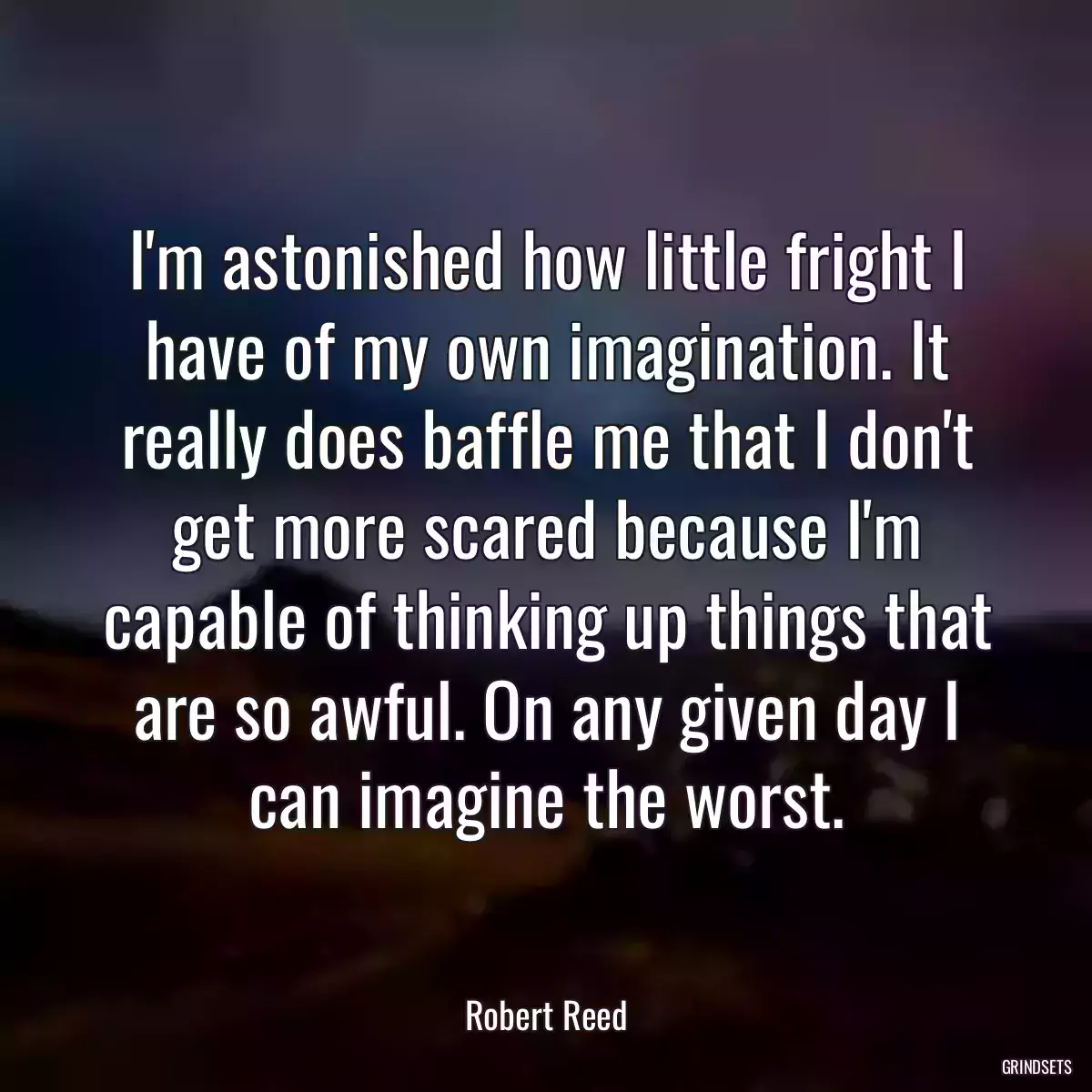 I\'m astonished how little fright I have of my own imagination. It really does baffle me that I don\'t get more scared because I\'m capable of thinking up things that are so awful. On any given day I can imagine the worst.