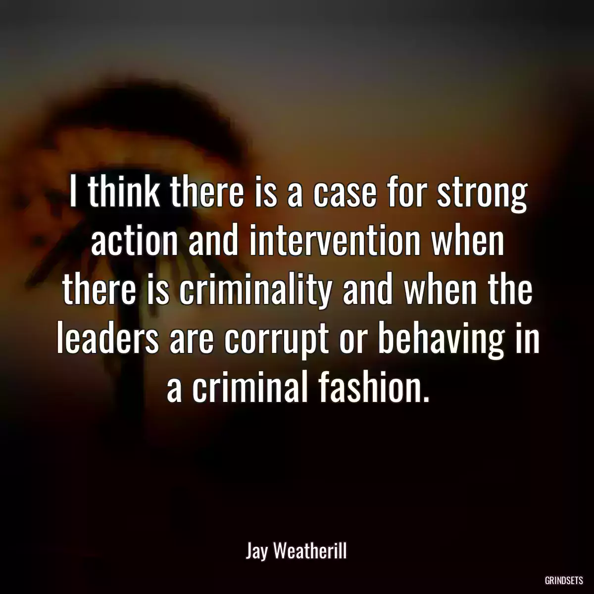 I think there is a case for strong action and intervention when there is criminality and when the leaders are corrupt or behaving in a criminal fashion.