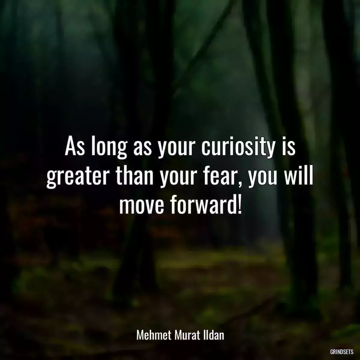 As long as your curiosity is greater than your fear, you will move forward!