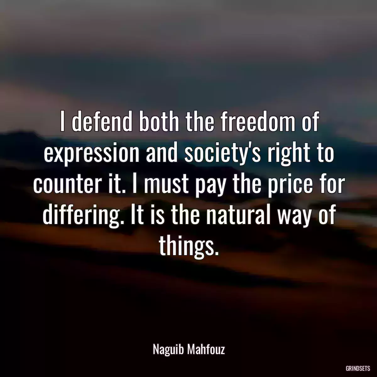 I defend both the freedom of expression and society\'s right to counter it. I must pay the price for differing. It is the natural way of things.