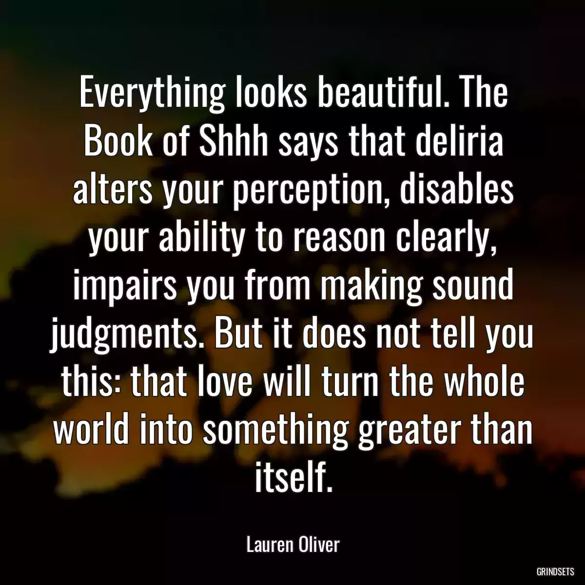 Everything looks beautiful. The Book of Shhh says that deliria alters your perception, disables your ability to reason clearly, impairs you from making sound judgments. But it does not tell you this: that love will turn the whole world into something greater than itself.