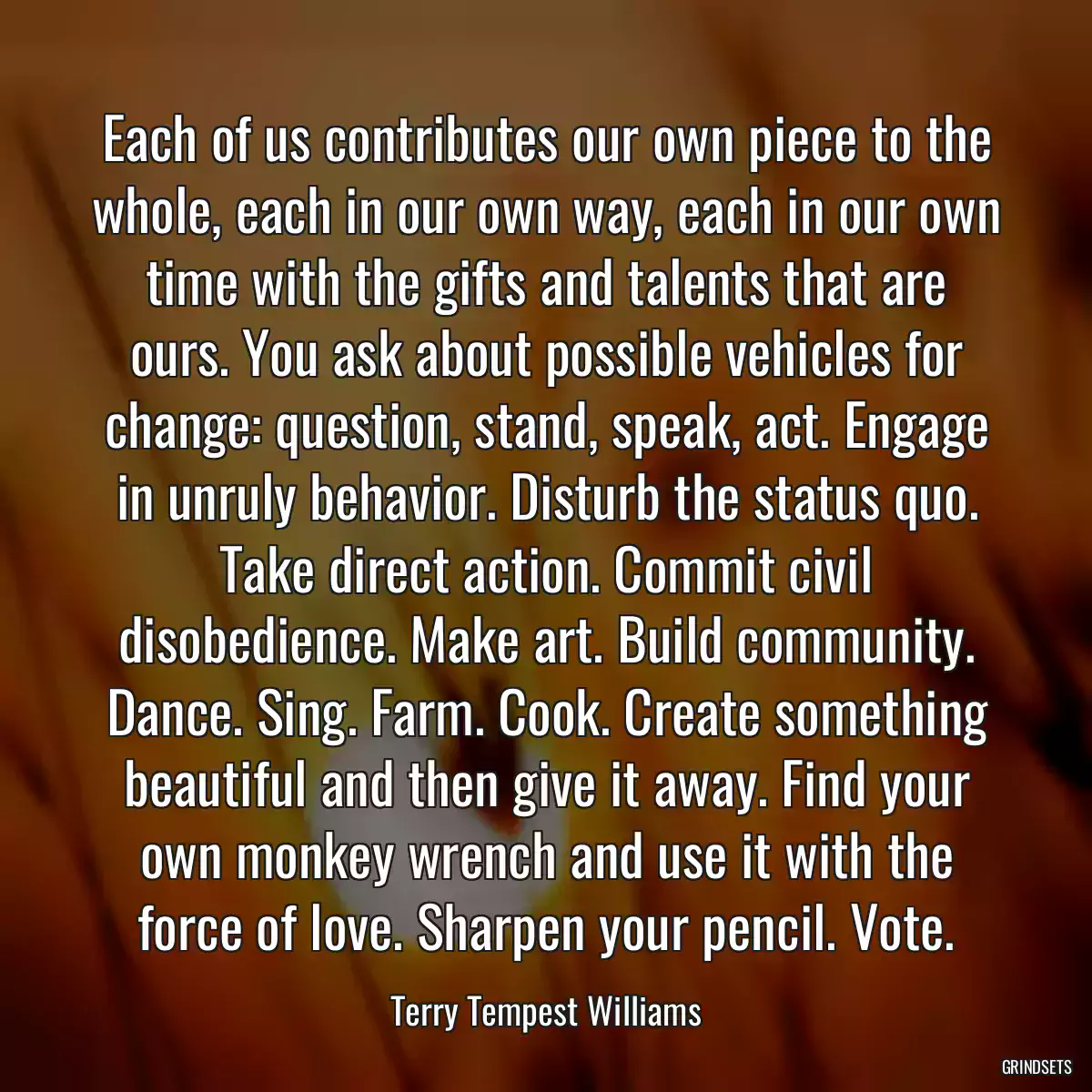 Each of us contributes our own piece to the whole, each in our own way, each in our own time with the gifts and talents that are ours. You ask about possible vehicles for change: question, stand, speak, act. Engage in unruly behavior. Disturb the status quo. Take direct action. Commit civil disobedience. Make art. Build community. Dance. Sing. Farm. Cook. Create something beautiful and then give it away. Find your own monkey wrench and use it with the force of love. Sharpen your pencil. Vote.