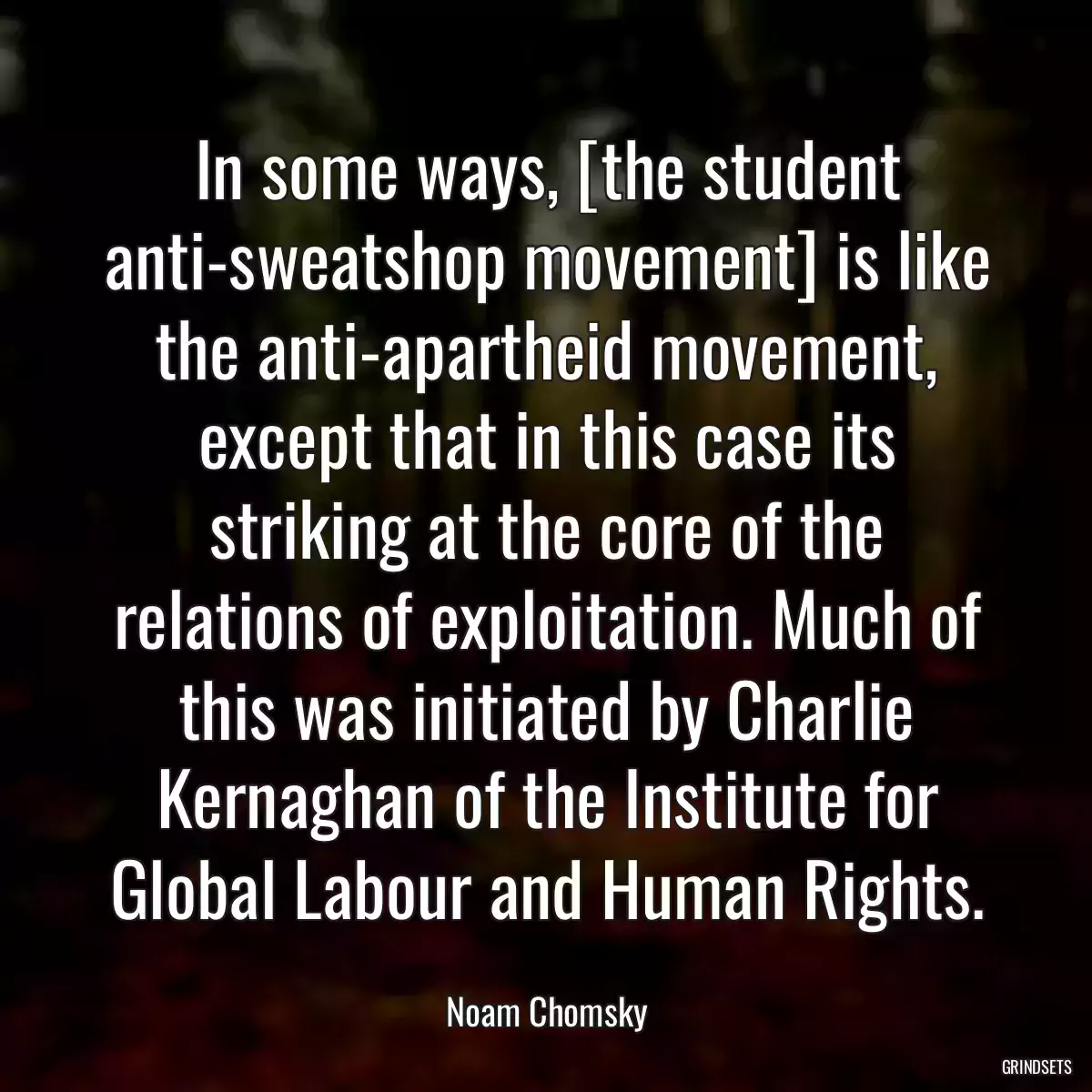 In some ways, [the student anti-sweatshop movement] is like the anti-apartheid movement, except that in this case its striking at the core of the relations of exploitation. Much of this was initiated by Charlie Kernaghan of the Institute for Global Labour and Human Rights.