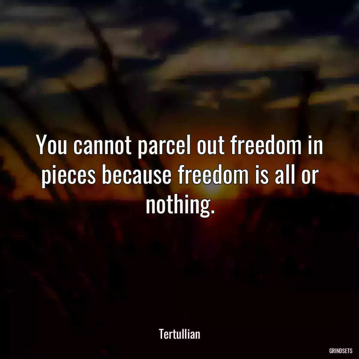 You cannot parcel out freedom in pieces because freedom is all or nothing.