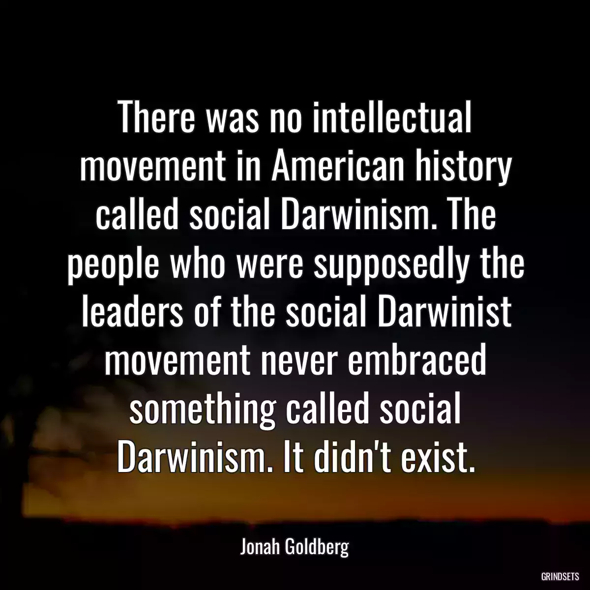 There was no intellectual movement in American history called social Darwinism. The people who were supposedly the leaders of the social Darwinist movement never embraced something called social Darwinism. It didn\'t exist.