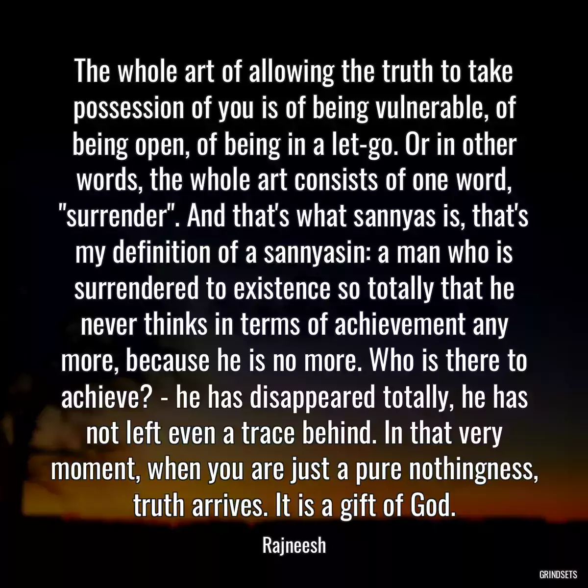 The whole art of allowing the truth to take possession of you is of being vulnerable, of being open, of being in a let-go. Or in other words, the whole art consists of one word, \