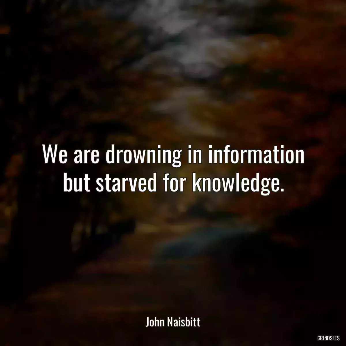 We are drowning in information but starved for knowledge.