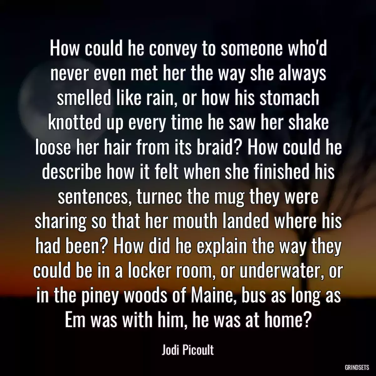 How could he convey to someone who\'d never even met her the way she always smelled like rain, or how his stomach knotted up every time he saw her shake loose her hair from its braid? How could he describe how it felt when she finished his sentences, turnec the mug they were sharing so that her mouth landed where his had been? How did he explain the way they could be in a locker room, or underwater, or in the piney woods of Maine, bus as long as Em was with him, he was at home?