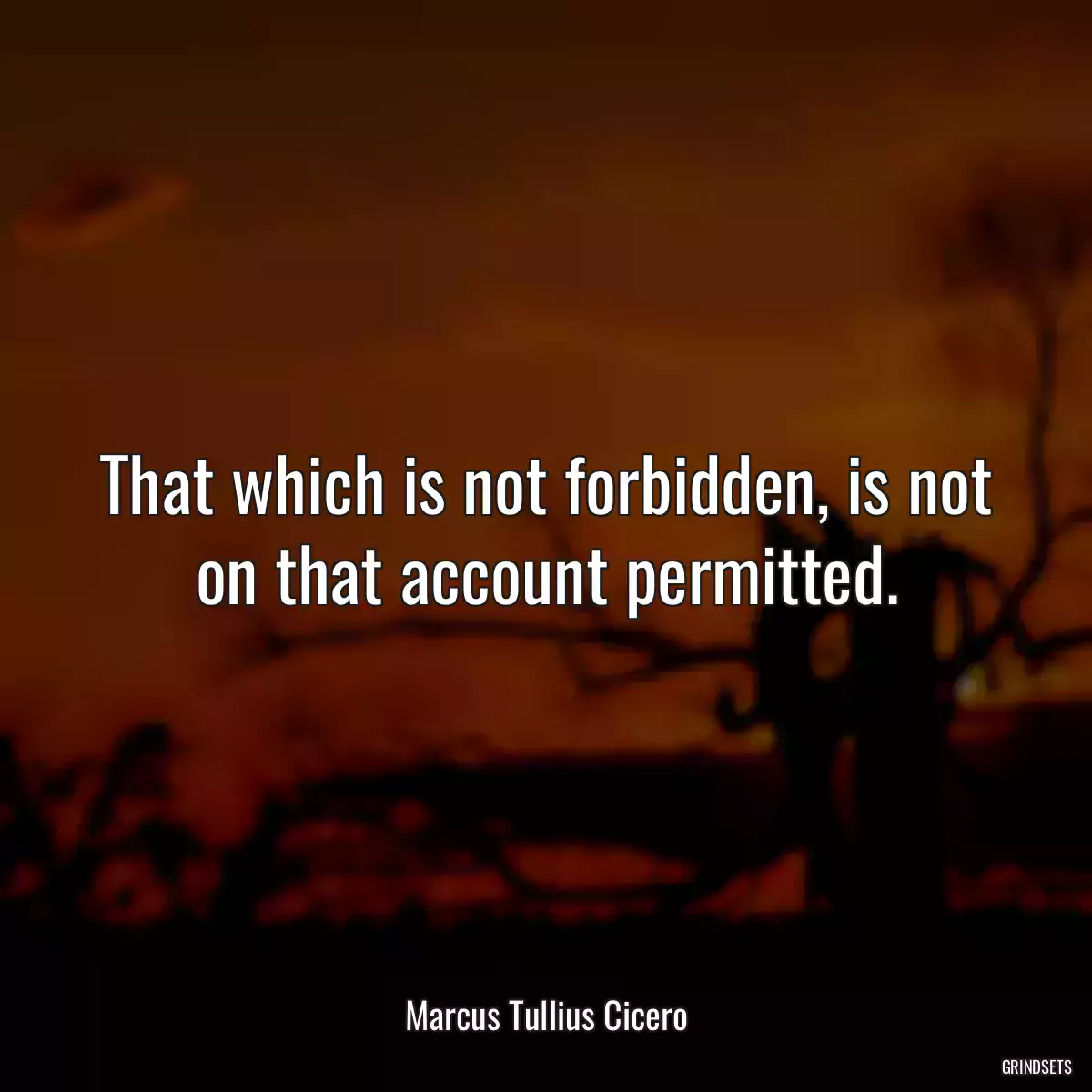 That which is not forbidden, is not on that account permitted.