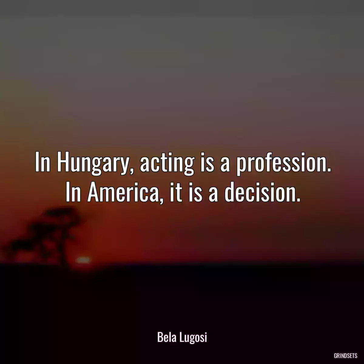 In Hungary, acting is a profession. In America, it is a decision.