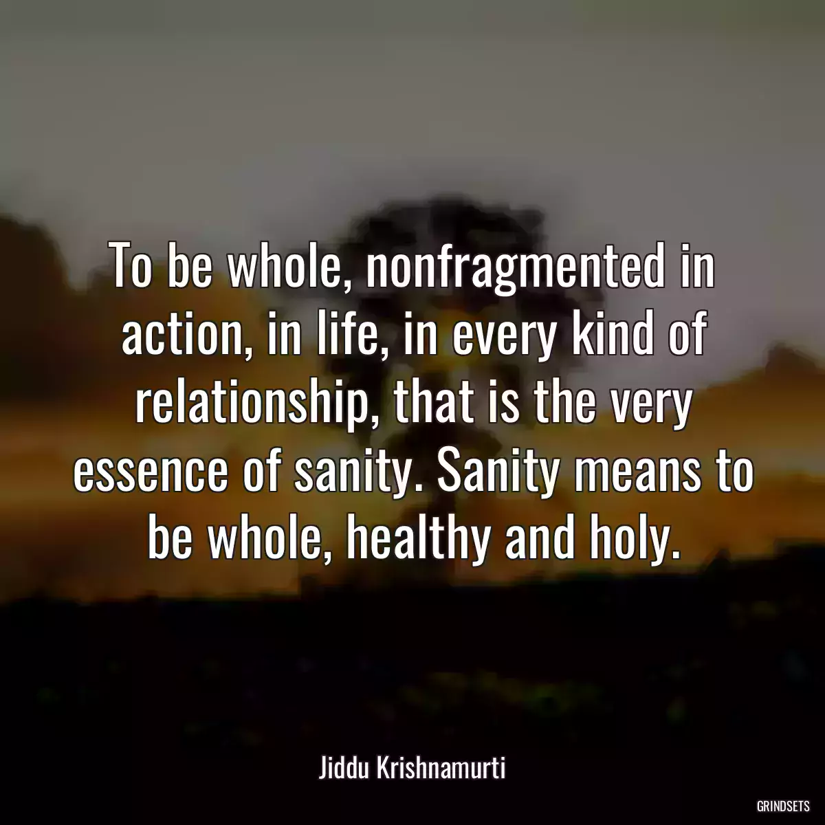 To be whole, nonfragmented in action, in life, in every kind of relationship, that is the very essence of sanity. Sanity means to be whole, healthy and holy.