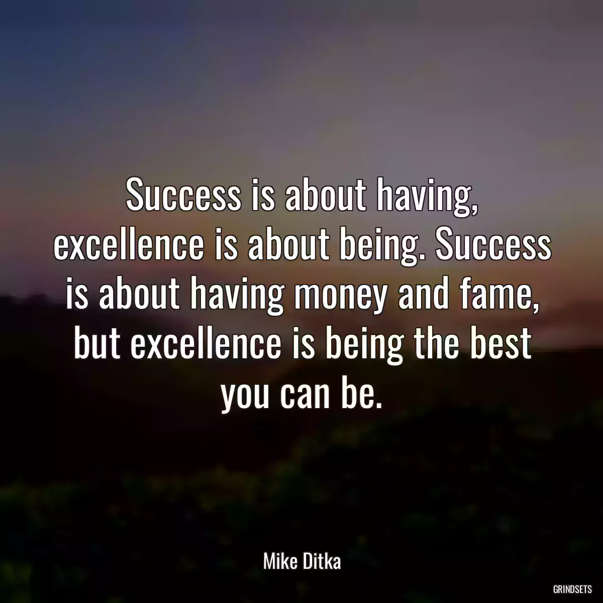 Success is about having, excellence is about being. Success is about having money and fame, but excellence is being the best you can be.