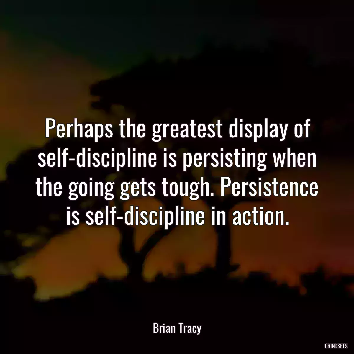 Perhaps the greatest display of self-discipline is persisting when the going gets tough. Persistence is self-discipline in action.