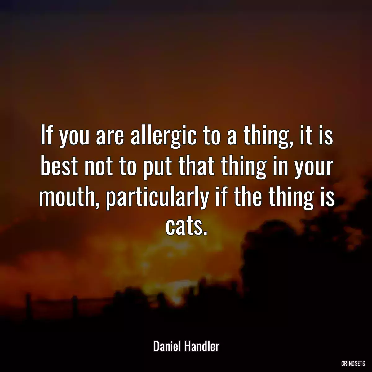 If you are allergic to a thing, it is best not to put that thing in your mouth, particularly if the thing is cats.