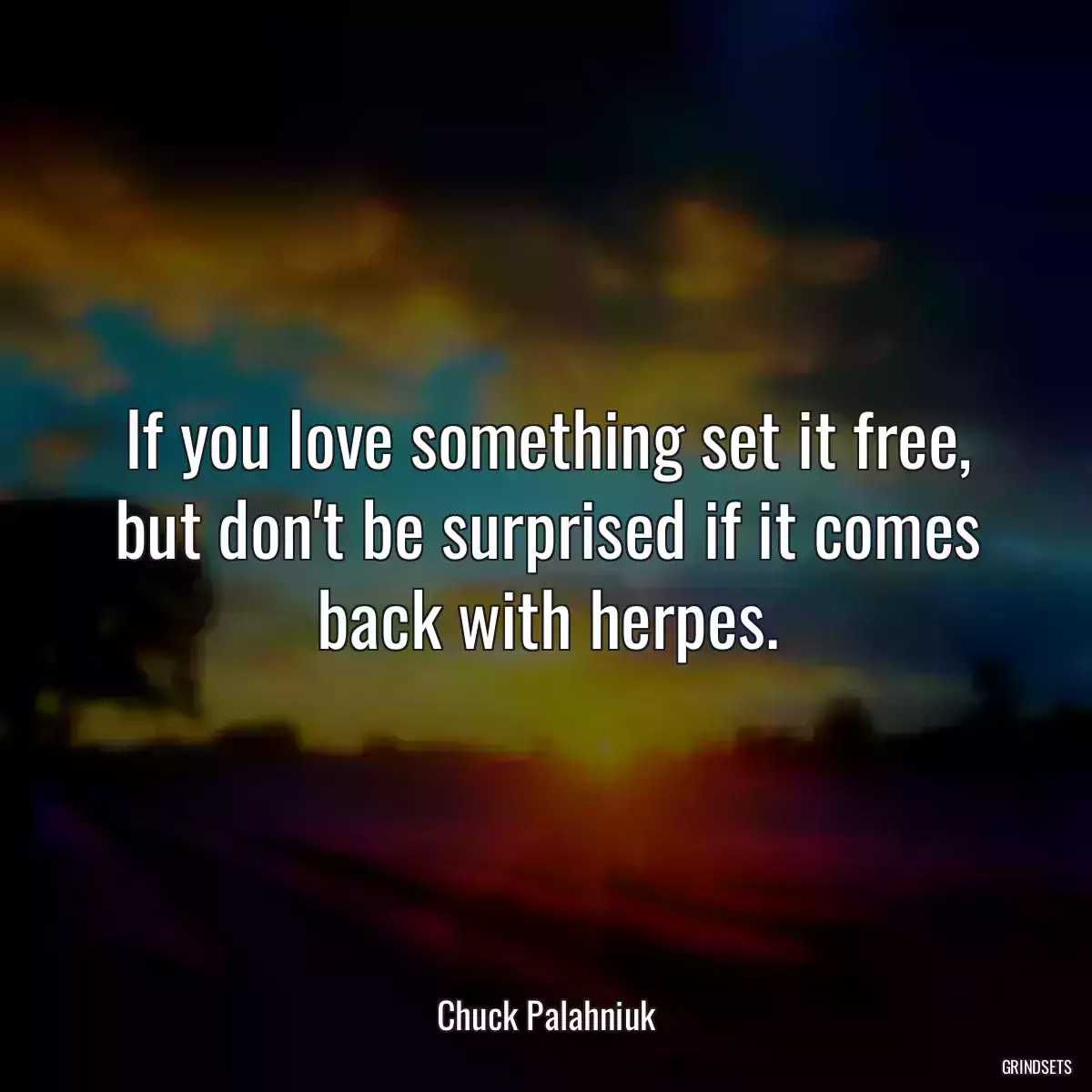 If you love something set it free, but don\'t be surprised if it comes back with herpes.