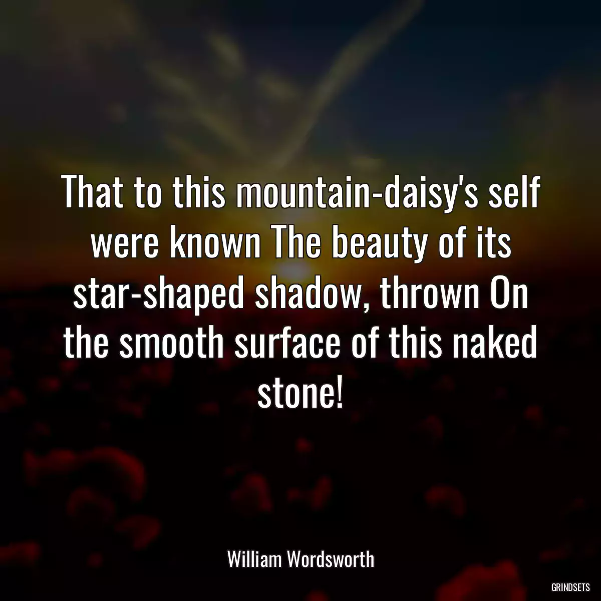 That to this mountain-daisy\'s self were known The beauty of its star-shaped shadow, thrown On the smooth surface of this naked stone!