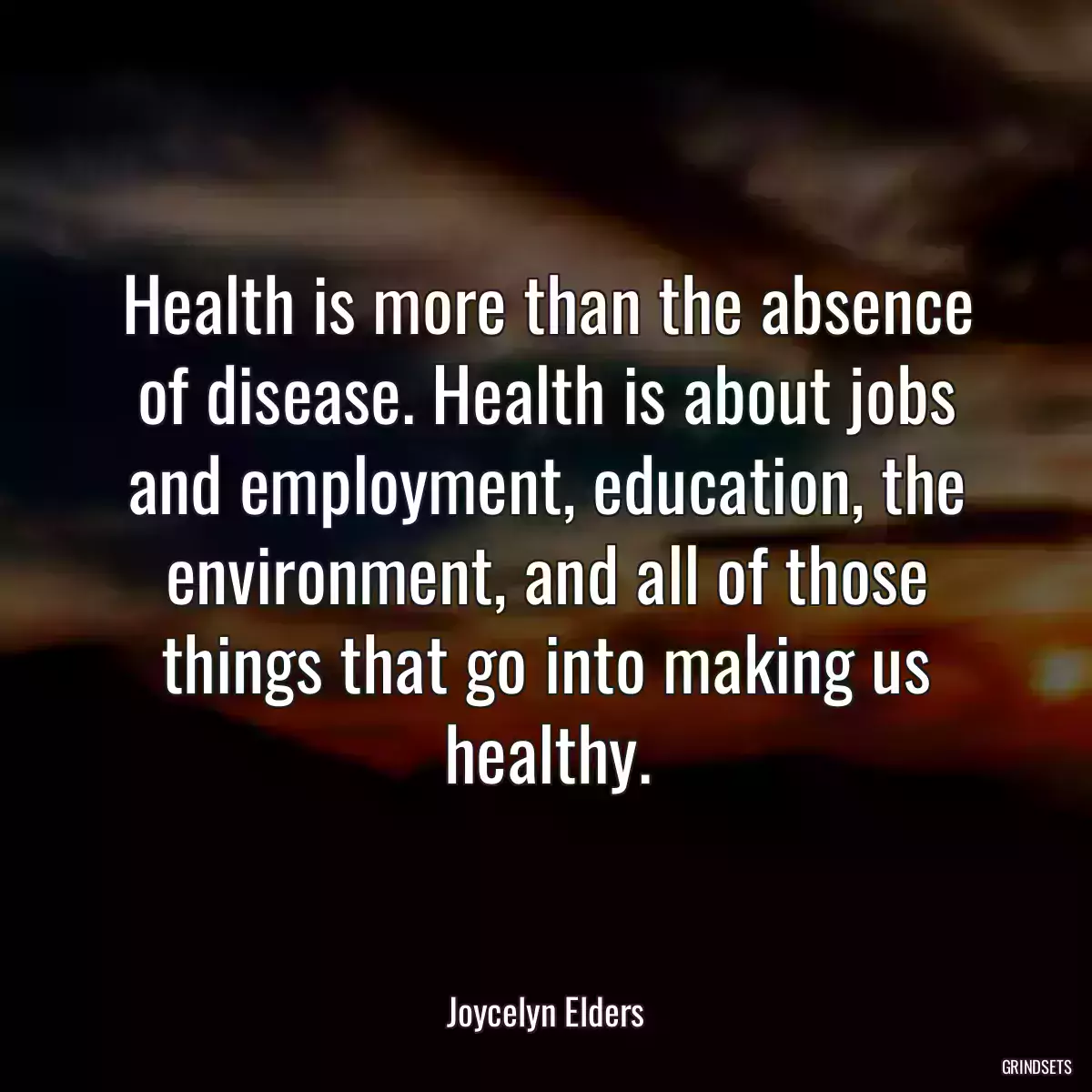 Health is more than the absence of disease. Health is about jobs and employment, education, the environment, and all of those things that go into making us healthy.