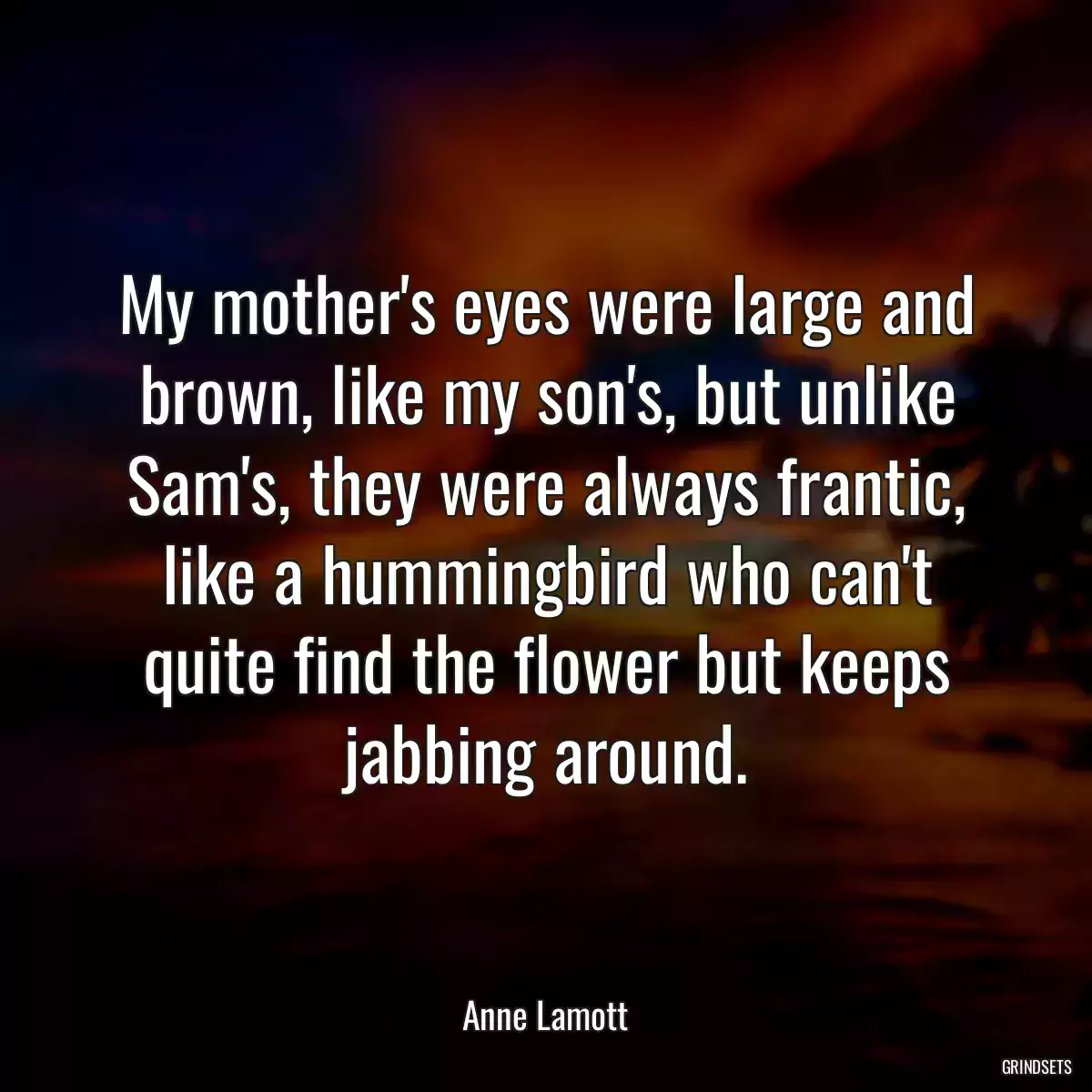 My mother\'s eyes were large and brown, like my son\'s, but unlike Sam\'s, they were always frantic, like a hummingbird who can\'t quite find the flower but keeps jabbing around.