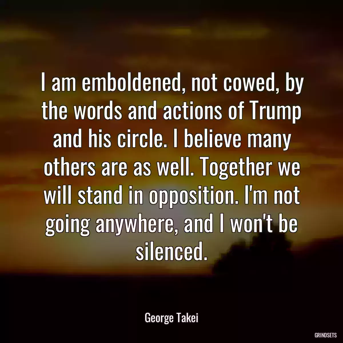 I am emboldened, not cowed, by the words and actions of Trump and his circle. I believe many others are as well. Together we will stand in opposition. I\'m not going anywhere, and I won\'t be silenced.