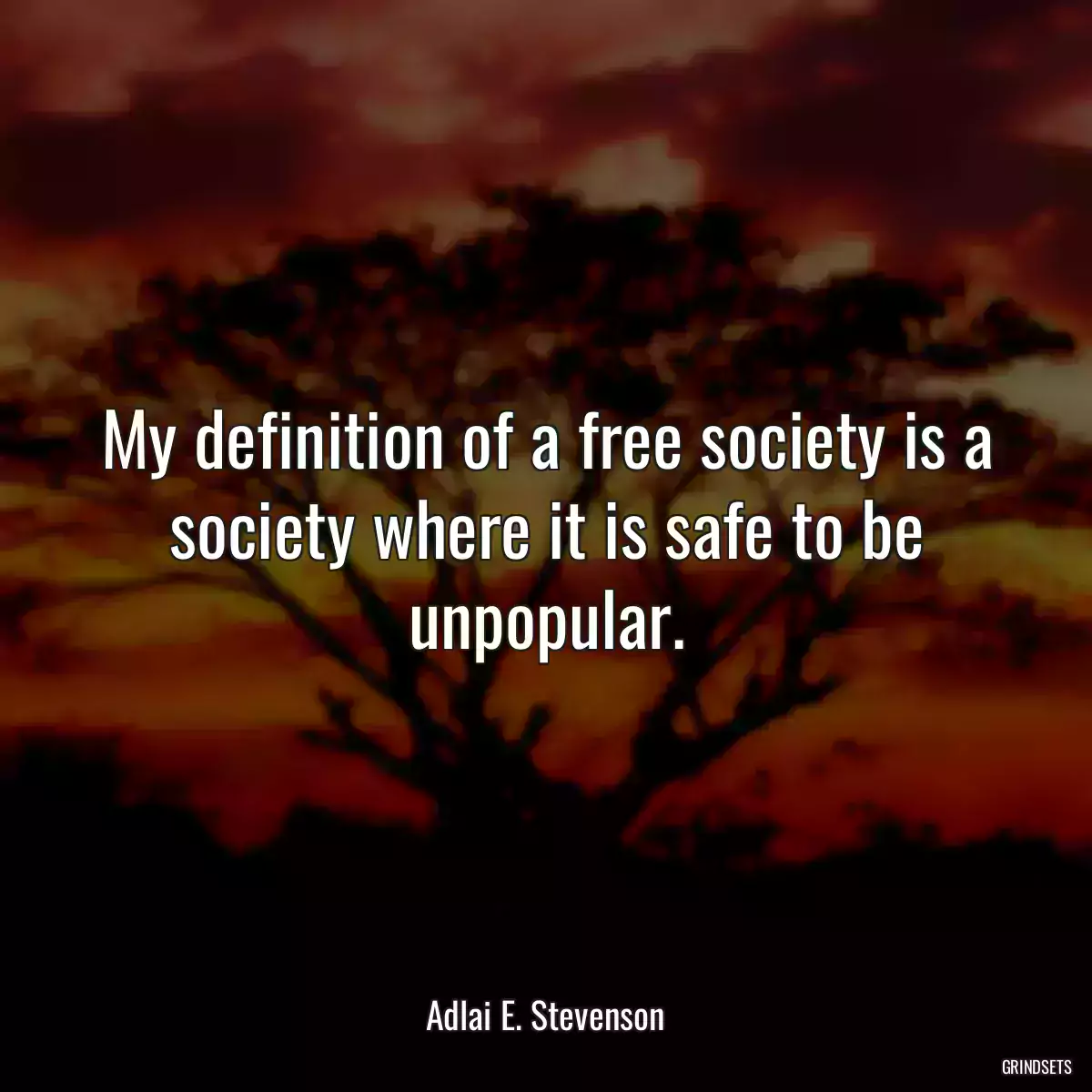 My definition of a free society is a society where it is safe to be unpopular.