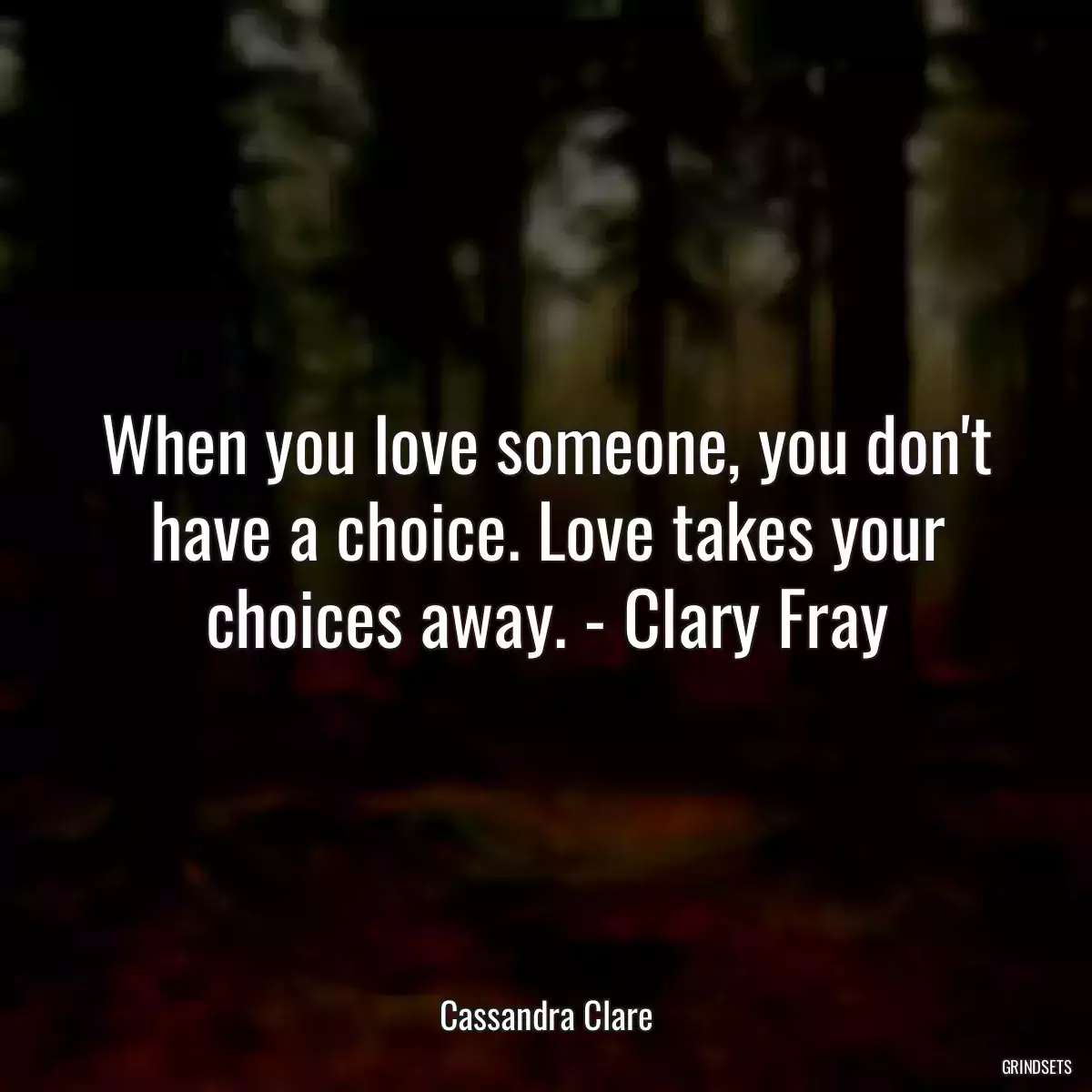 When you love someone, you don\'t have a choice. Love takes your choices away. - Clary Fray