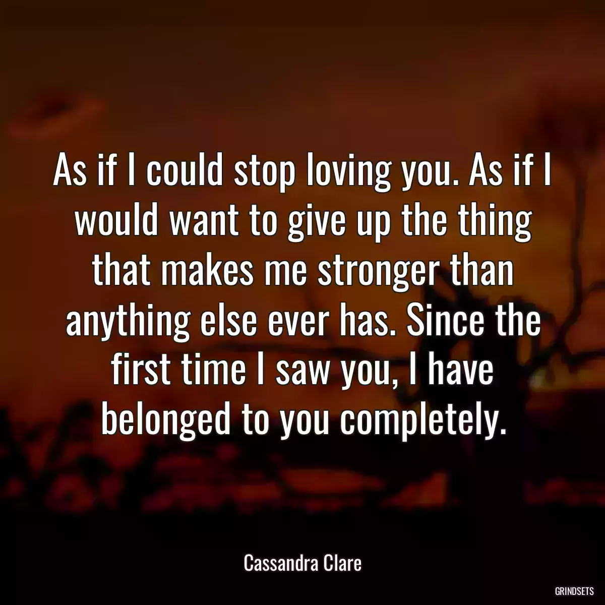 As if I could stop loving you. As if I would want to give up the thing that makes me stronger than anything else ever has. Since the first time I saw you, I have belonged to you completely.