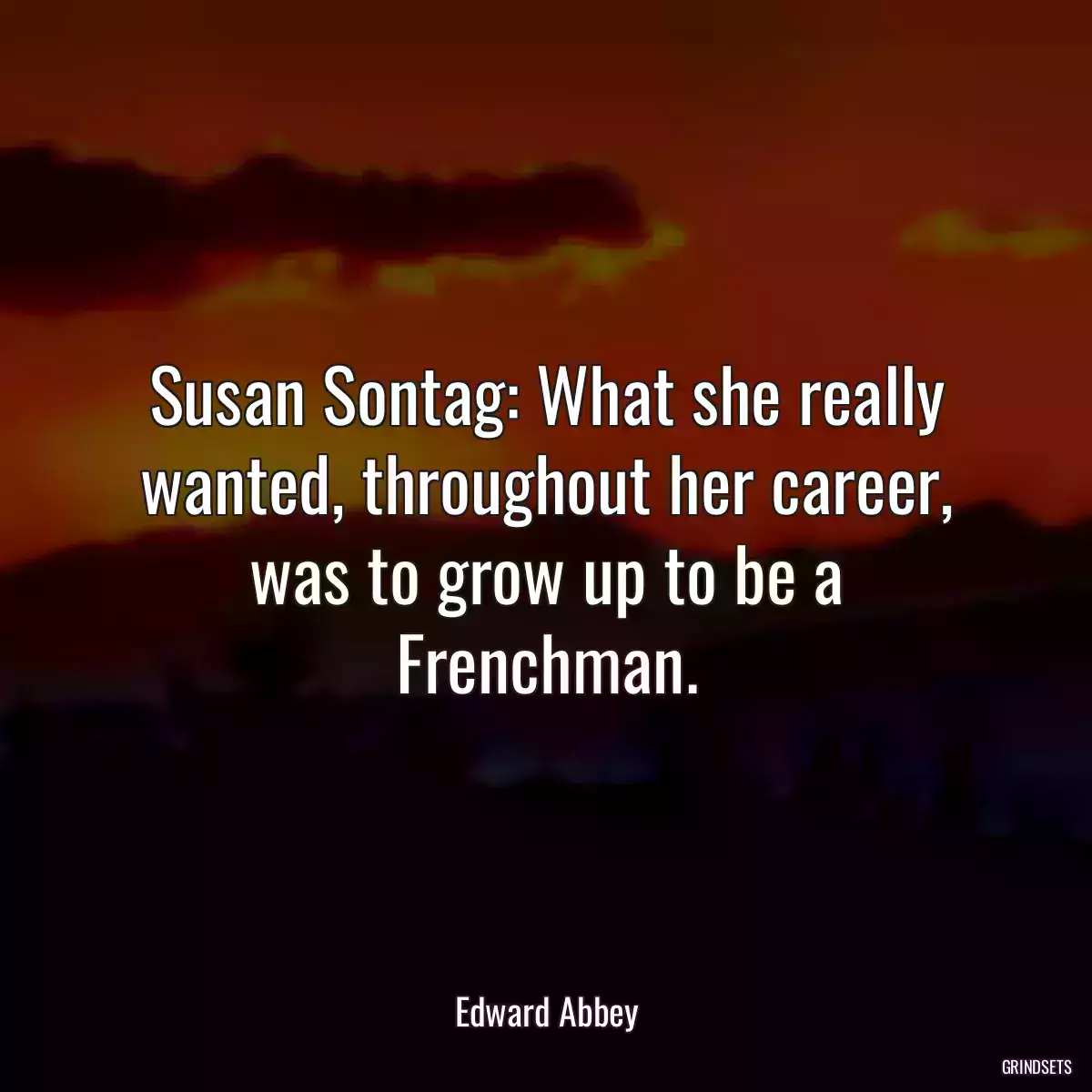 Susan Sontag: What she really wanted, throughout her career, was to grow up to be a Frenchman.