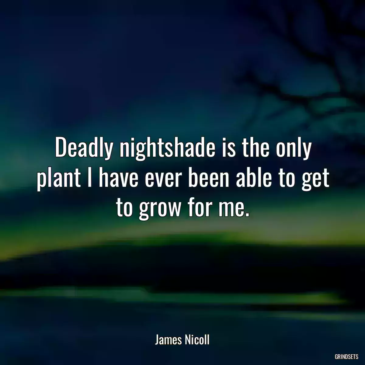 Deadly nightshade is the only plant I have ever been able to get to grow for me.