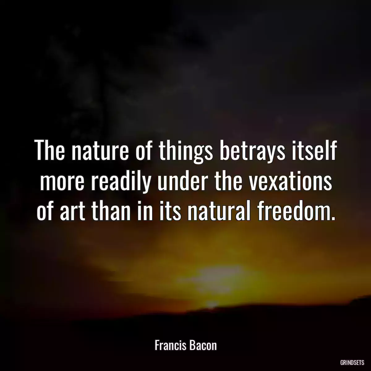 The nature of things betrays itself more readily under the vexations of art than in its natural freedom.