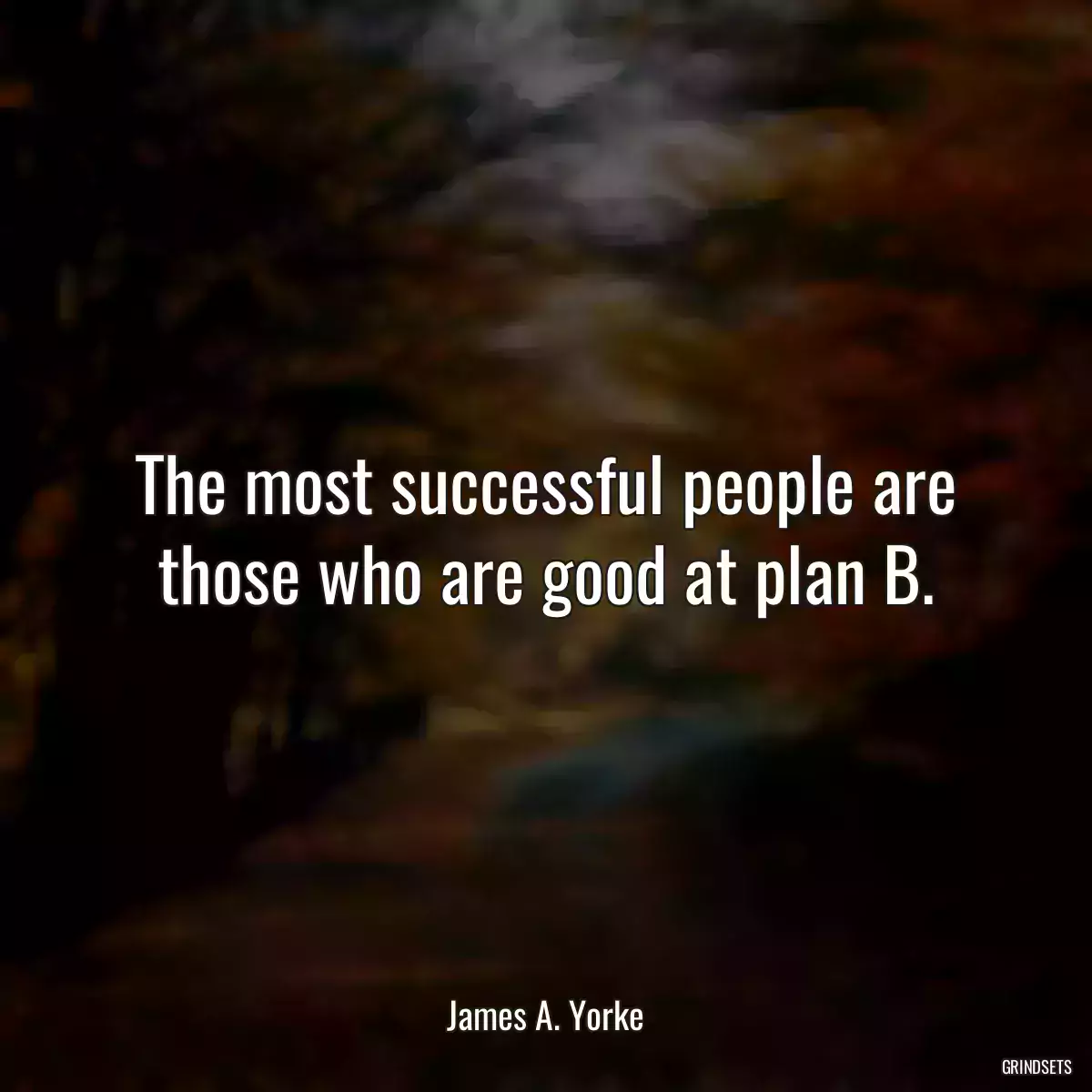 The most successful people are those who are good at plan B.