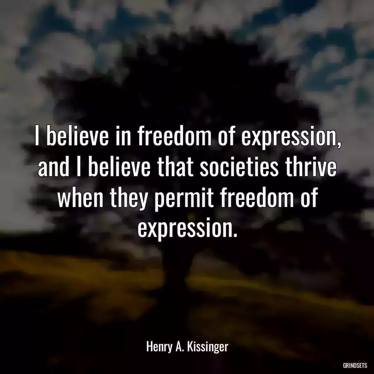 I believe in freedom of expression, and I believe that societies thrive when they permit freedom of expression.