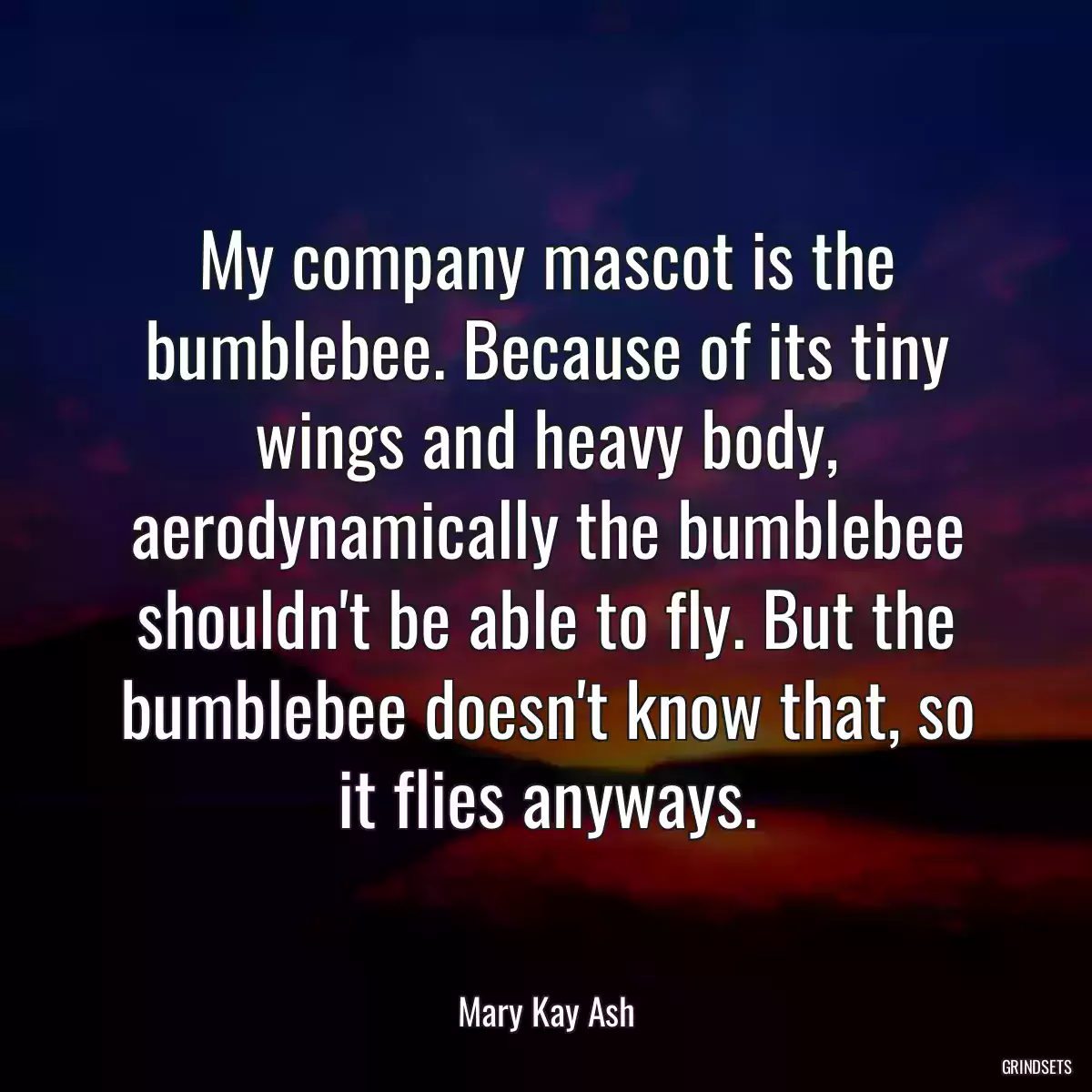 My company mascot is the bumblebee. Because of its tiny wings and heavy body, aerodynamically the bumblebee shouldn\'t be able to fly. But the bumblebee doesn\'t know that, so it flies anyways.