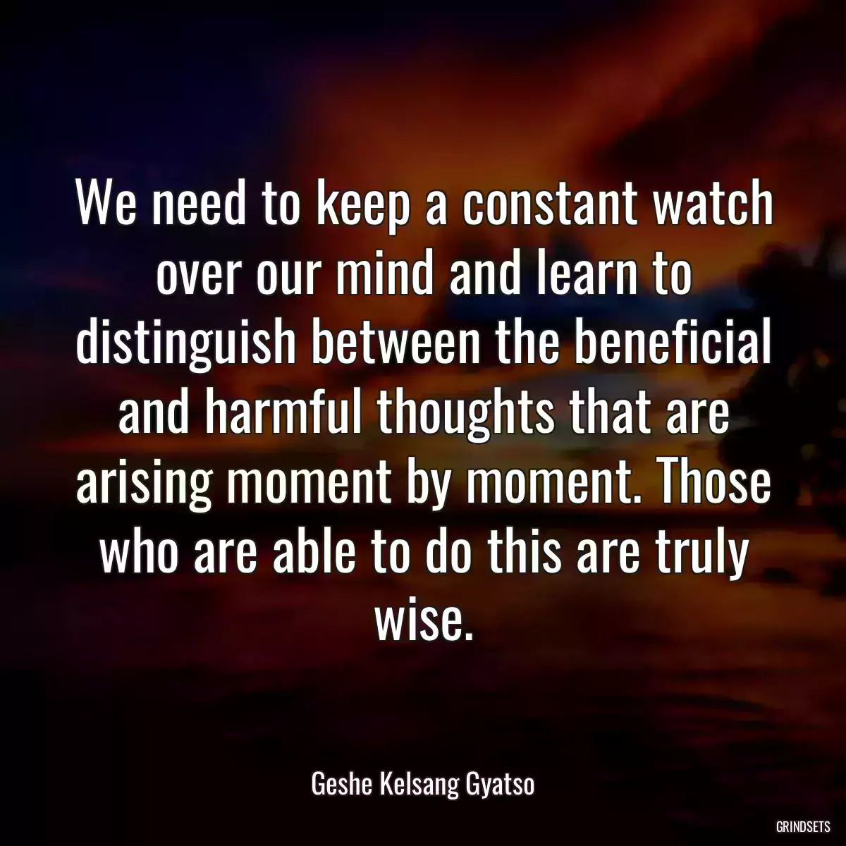 We need to keep a constant watch over our mind and learn to distinguish between the beneficial and harmful thoughts that are arising moment by moment. Those who are able to do this are truly wise.