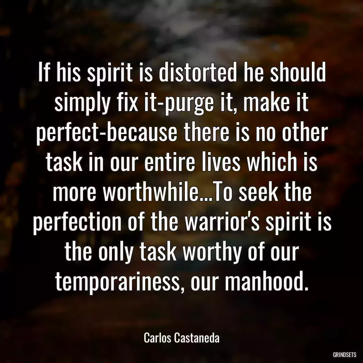 If his spirit is distorted he should simply fix it-purge it, make it perfect-because there is no other task in our entire lives which is more worthwhile...To seek the perfection of the warrior\'s spirit is the only task worthy of our temporariness, our manhood.