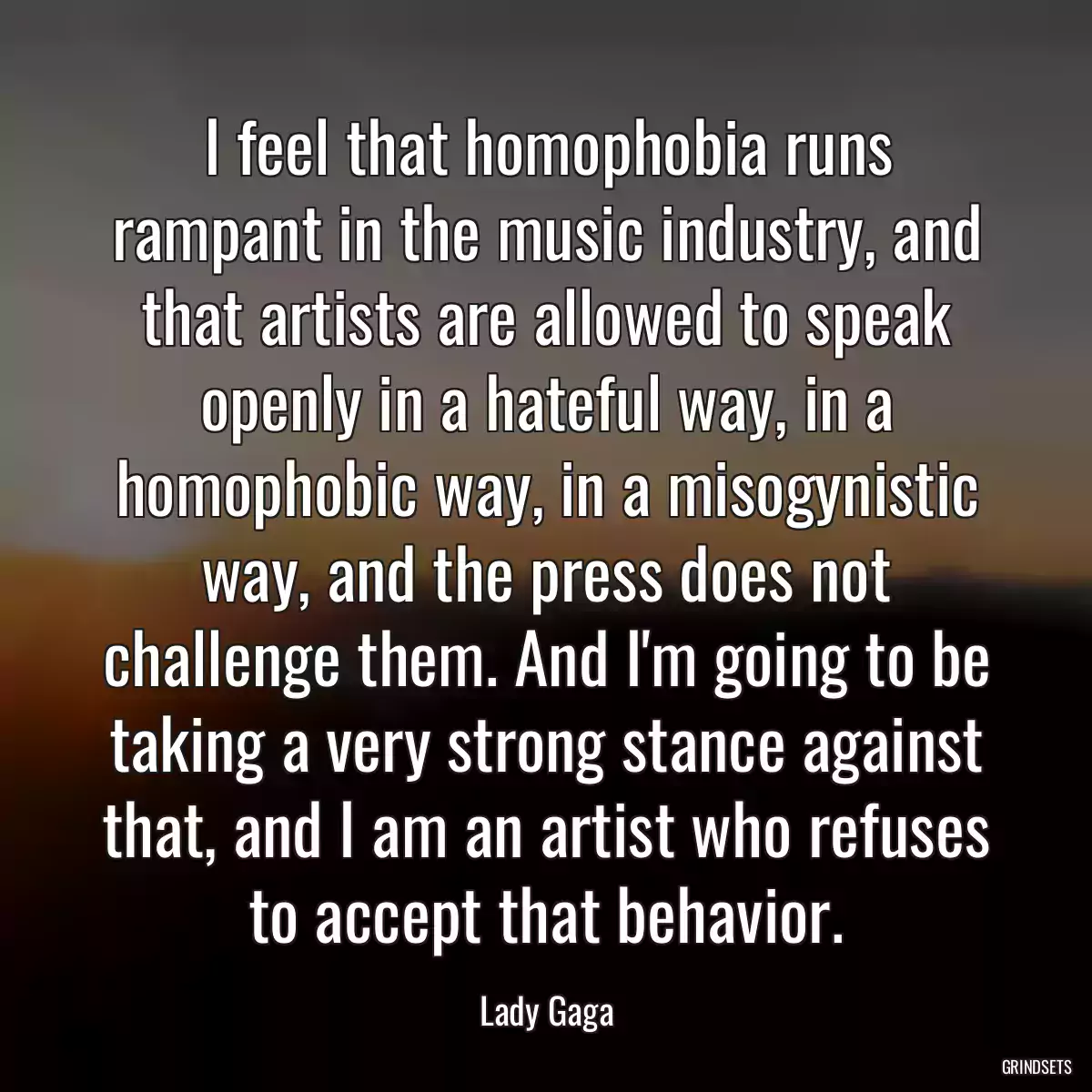 I feel that homophobia runs rampant in the music industry, and that artists are allowed to speak openly in a hateful way, in a homophobic way, in a misogynistic way, and the press does not challenge them. And I\'m going to be taking a very strong stance against that, and I am an artist who refuses to accept that behavior.