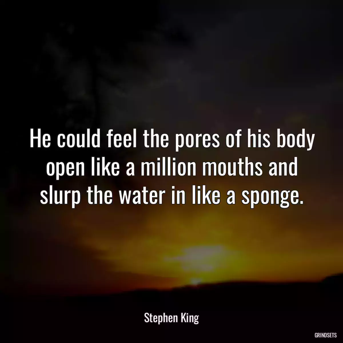 He could feel the pores of his body open like a million mouths and slurp the water in like a sponge.