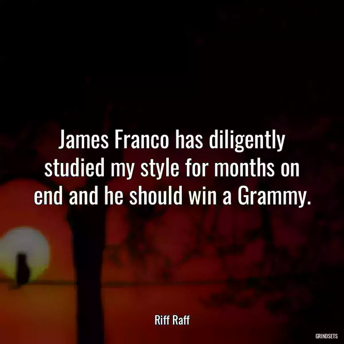 James Franco has diligently studied my style for months on end and he should win a Grammy.