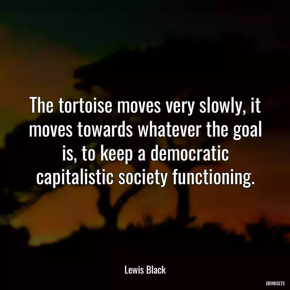 The tortoise moves very slowly, it moves towards whatever the goal is, to keep a democratic capitalistic society functioning.