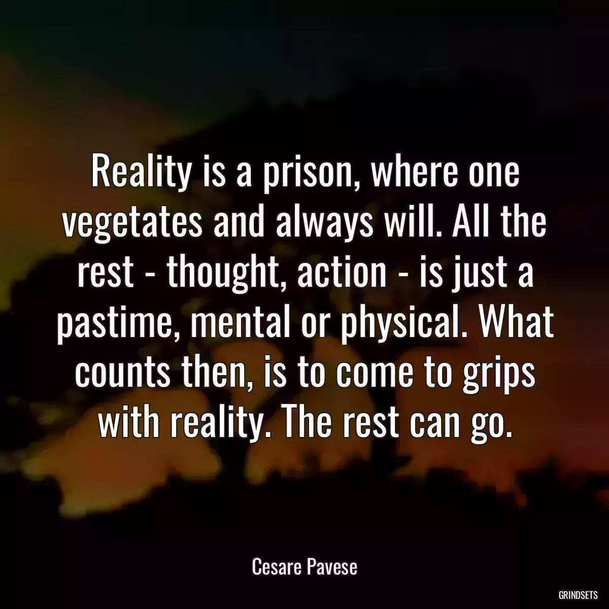 Reality is a prison, where one vegetates and always will. All the rest - thought, action - is just a pastime, mental or physical. What counts then, is to come to grips with reality. The rest can go.