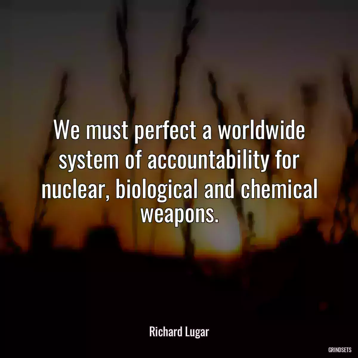 We must perfect a worldwide system of accountability for nuclear, biological and chemical weapons.