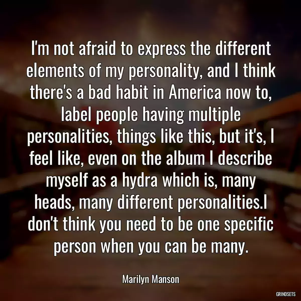 I\'m not afraid to express the different elements of my personality, and I think there\'s a bad habit in America now to, label people having multiple personalities, things like this, but it\'s, I feel like, even on the album I describe myself as a hydra which is, many heads, many different personalities.I don\'t think you need to be one specific person when you can be many.