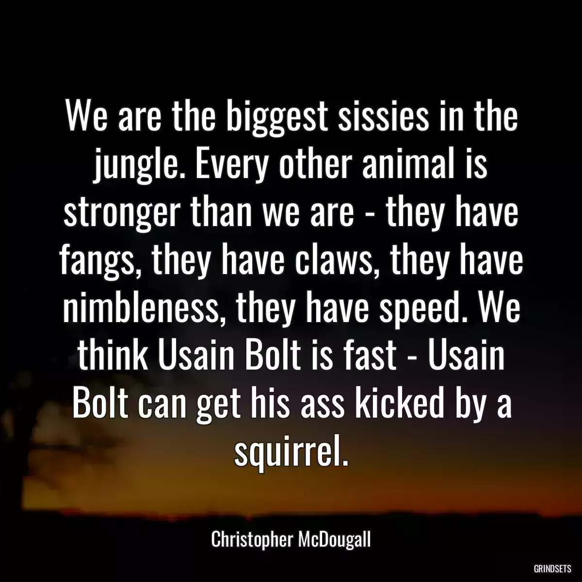 We are the biggest sissies in the jungle. Every other animal is stronger than we are - they have fangs, they have claws, they have nimbleness, they have speed. We think Usain Bolt is fast - Usain Bolt can get his ass kicked by a squirrel.