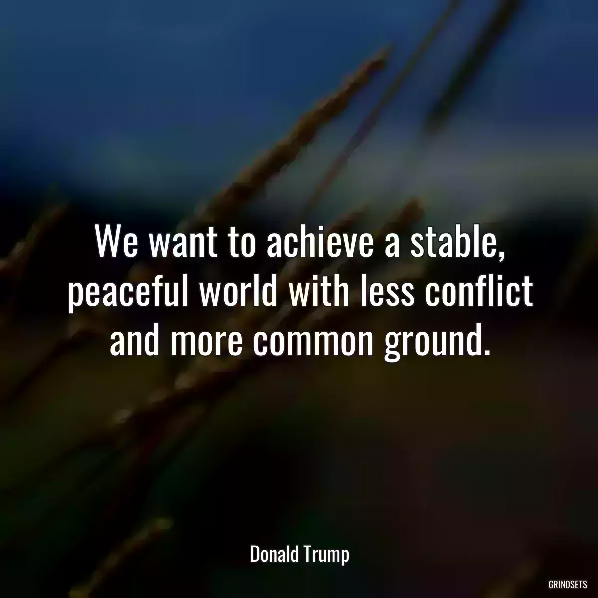 We want to achieve a stable, peaceful world with less conflict and more common ground.