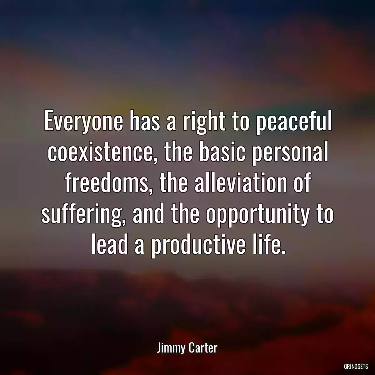 Everyone has a right to peaceful coexistence, the basic personal freedoms, the alleviation of suffering, and the opportunity to lead a productive life.